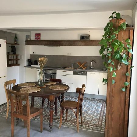 Appartement Climatise Avec Terrasse Carcassonne Eksteriør billede